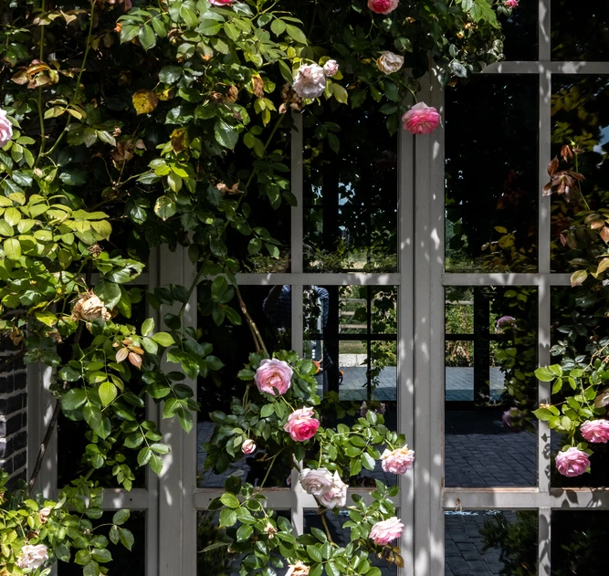 Le Manoir Saint- Laurent - Manoir de Luxe et sa dépendance à Deauville