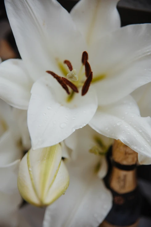 Hôtel Waldorf Montparnasse - chambre