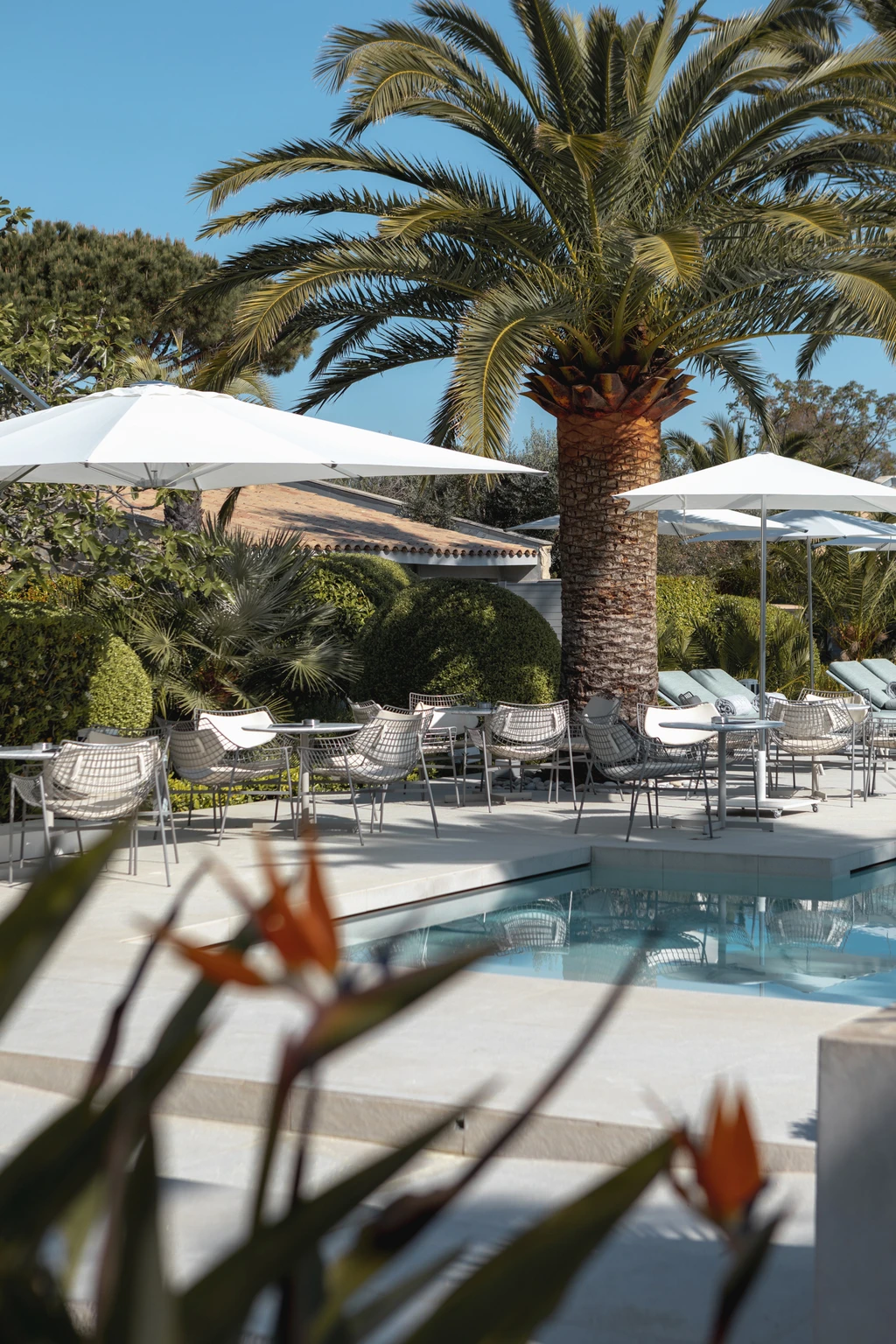 Piscina ©Agência WEBCOM