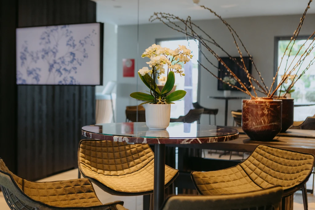 Bar interno ©Agence Webcom