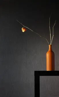 Babel Lille - Société à mission