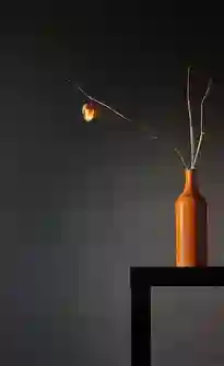 Babel Lille - Société à mission