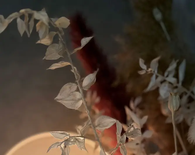 Babel Lille - Gallery