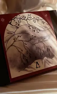 Babel Lille - Offres