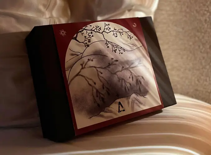 Babel Lille - Offres