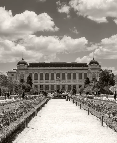Hotel Monte Cristo Paris 5 - The Jardin des Plantes Paris