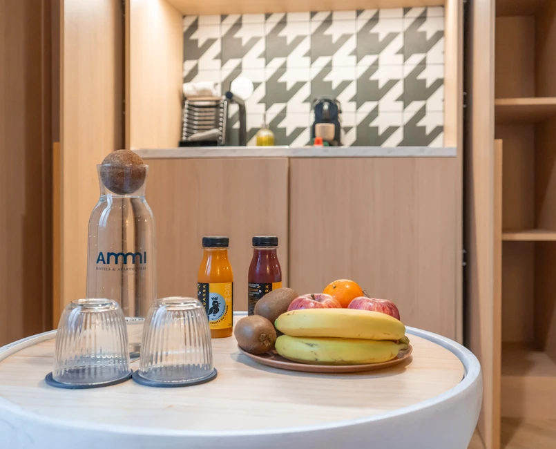 Hotel Aparthotel AMMI Nice Lafayette - Executive Studio