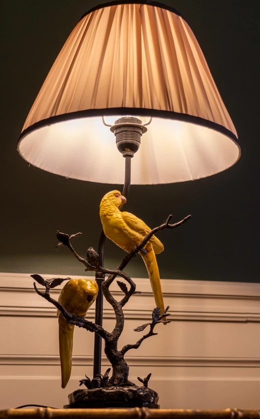 Décoration - Hotel du Danube