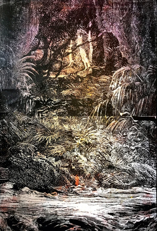 Chambre 40 - Pierre Roy Camille - Hotel du Danube