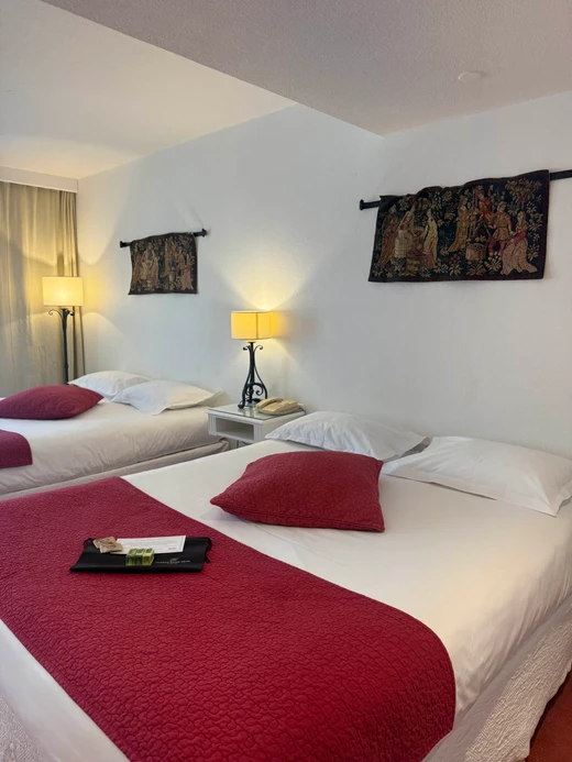 Grand Hotel Avignone - Camere & Suite