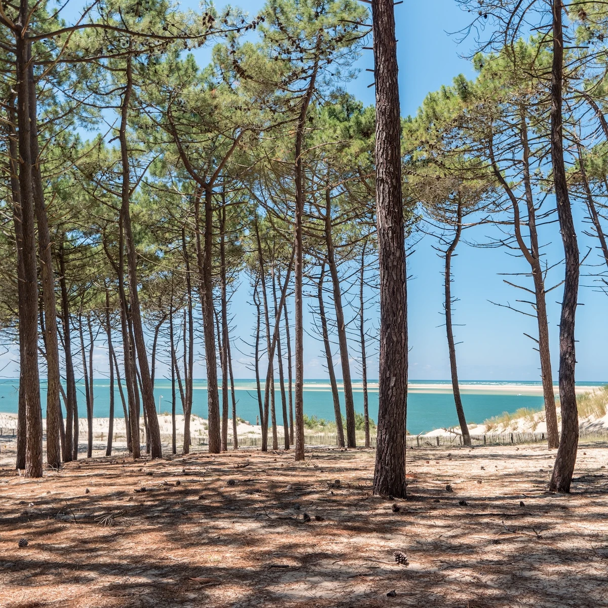 Le Bassin d’Arcachon