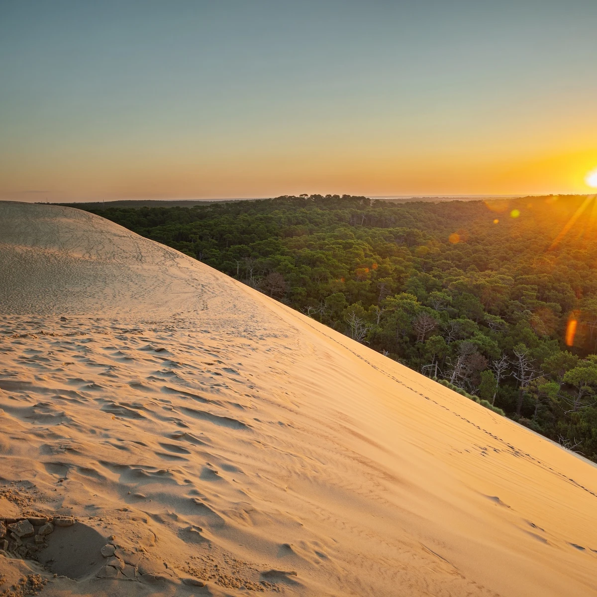 La Dune du Pilat