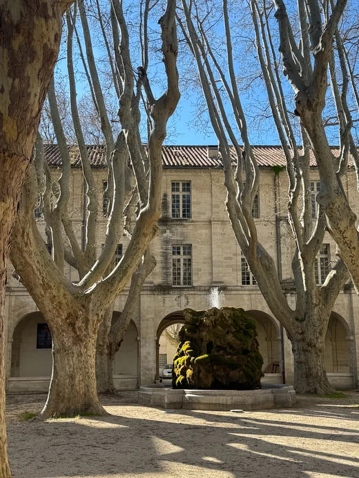 Hotel Le Cloître Saint Louis - Hotel 4 stelle Avignone
