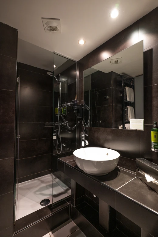 Hotel Le Cloître Saint-Louis - Camere confortevoli ad Avignone