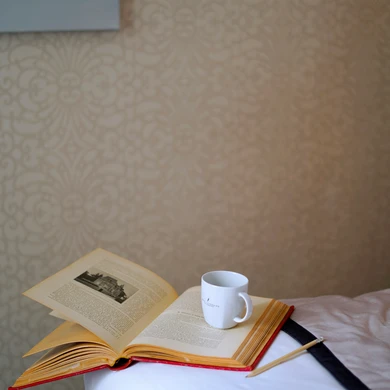 Hôtel Littéraire Le Swann