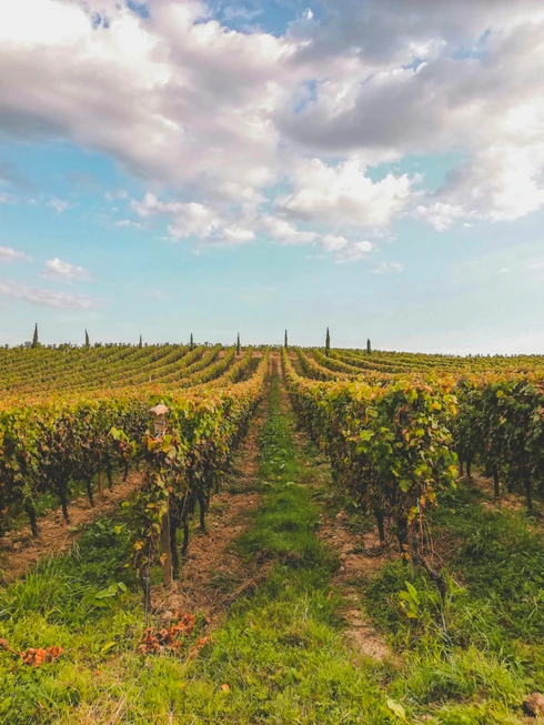 Société des Hôtels Littéraires - Maison Littéraire George Sand