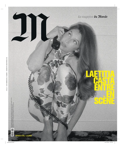 Château Voltaire - Presse