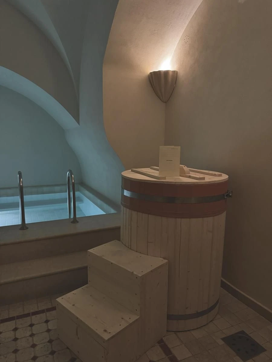 Château Voltaire - Cold Plunge