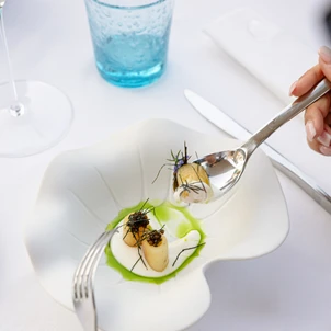 Ultimate Content - Client - Restaurant Colette, Saint-Tropez