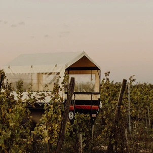 Ultimate Content - Client - La Bouche du Roi, Domaine Viticole