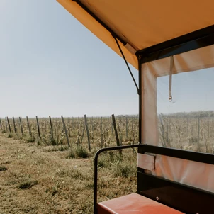 Ultimate Content - Client - La Bouche du Roi, Domaine Viticole