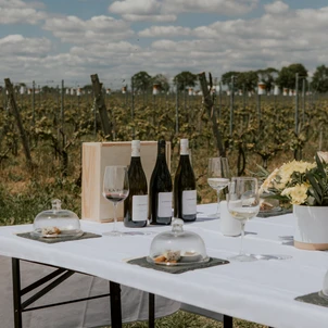 Ultimate Content - Client - La Bouche du Roi, Domaine Viticole