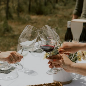 Ultimate Content - Client - La Bouche du Roi, Domaine Viticole