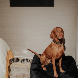 Ultimate Content - Client - Hotel Barnett Paris