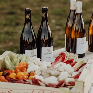 Ultimate Content - Client - La Bouche du Roi, Domaine Viticole