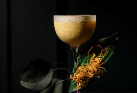 Ultimate Content - Client - Bar 1802, Paris