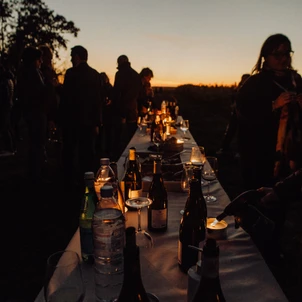 Ultimate Content - Client - La Bouche du Roi, Domaine Viticole