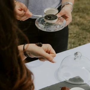 Ultimate Content - Client - La Bouche du Roi, Domaine Viticole