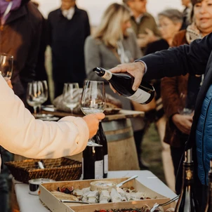 Ultimate Content - Client - La Bouche du Roi, Domaine Viticole