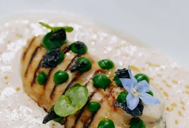 Ultimate Content - Client - Restaurant Colette, Saint-Tropez