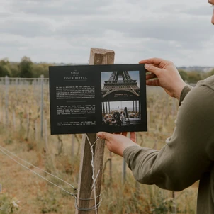 Ultimate Content - Client - La Bouche du Roi, Domaine Viticole