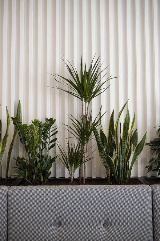 Le Roosevelt - Photos