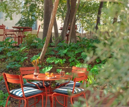Eklo Hotels - Montpellier - Groups & Privatizations - Secret garden