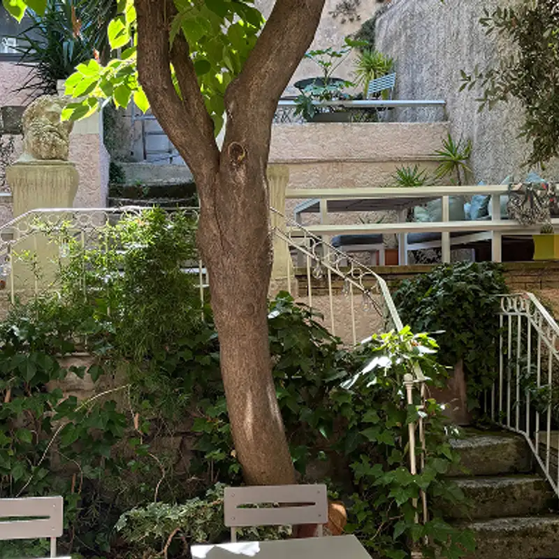Boutique Hôtel Azur - Le jardin